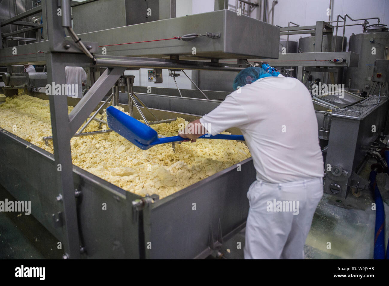 Commerciale di produzione di formaggio Foto Stock