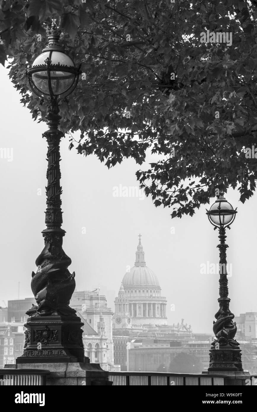 Cattedrale di San Paolo, visto da South Bank di Londra, Inghilterra, Regno Unito, Europa Foto Stock