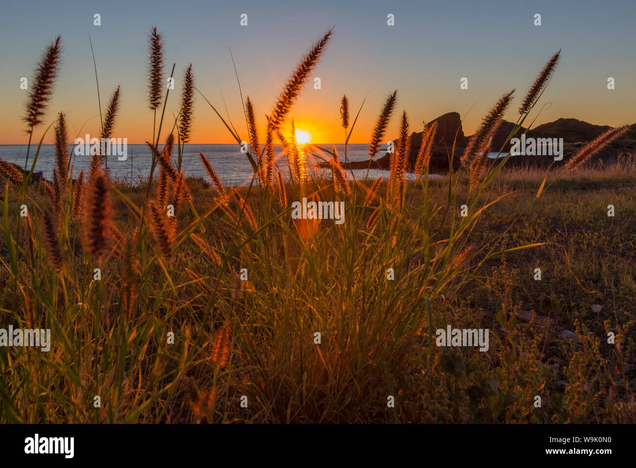 Tramonto lungo il litorale in Himalaya Beach, Sonora, Messico, America del Nord Foto Stock