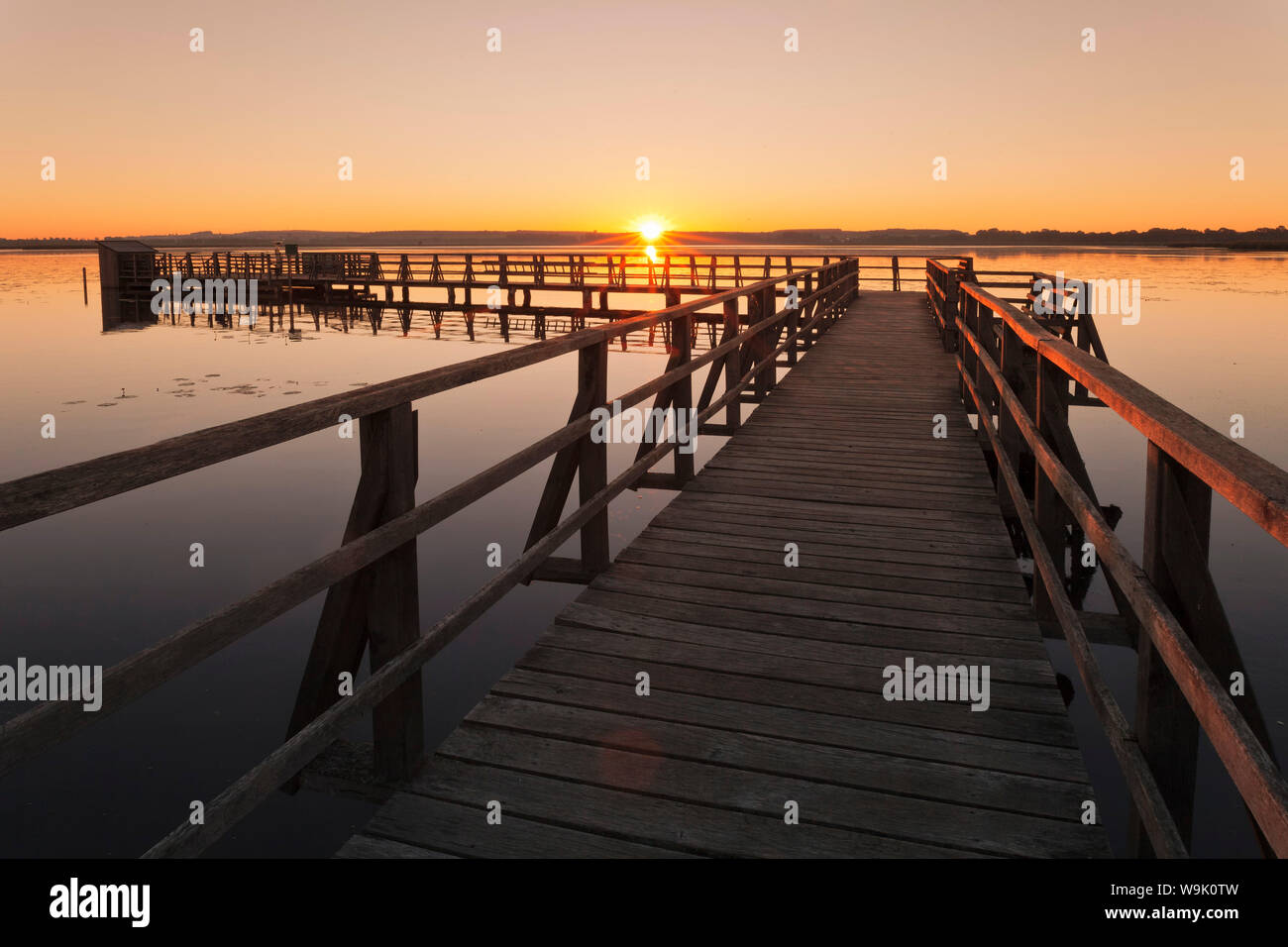 Lago Federsee presso sunrise, riserva naturale, Bad Buchau, Alta Svevia, Baden-Württemberg, Germania, Europa Foto Stock