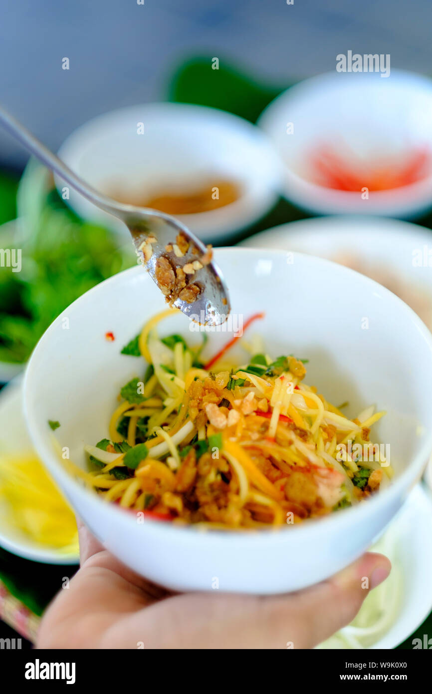 Insalata piccante, cibo vietnamita, Vietnam, Indocina, Asia sud-orientale, Asia Foto Stock