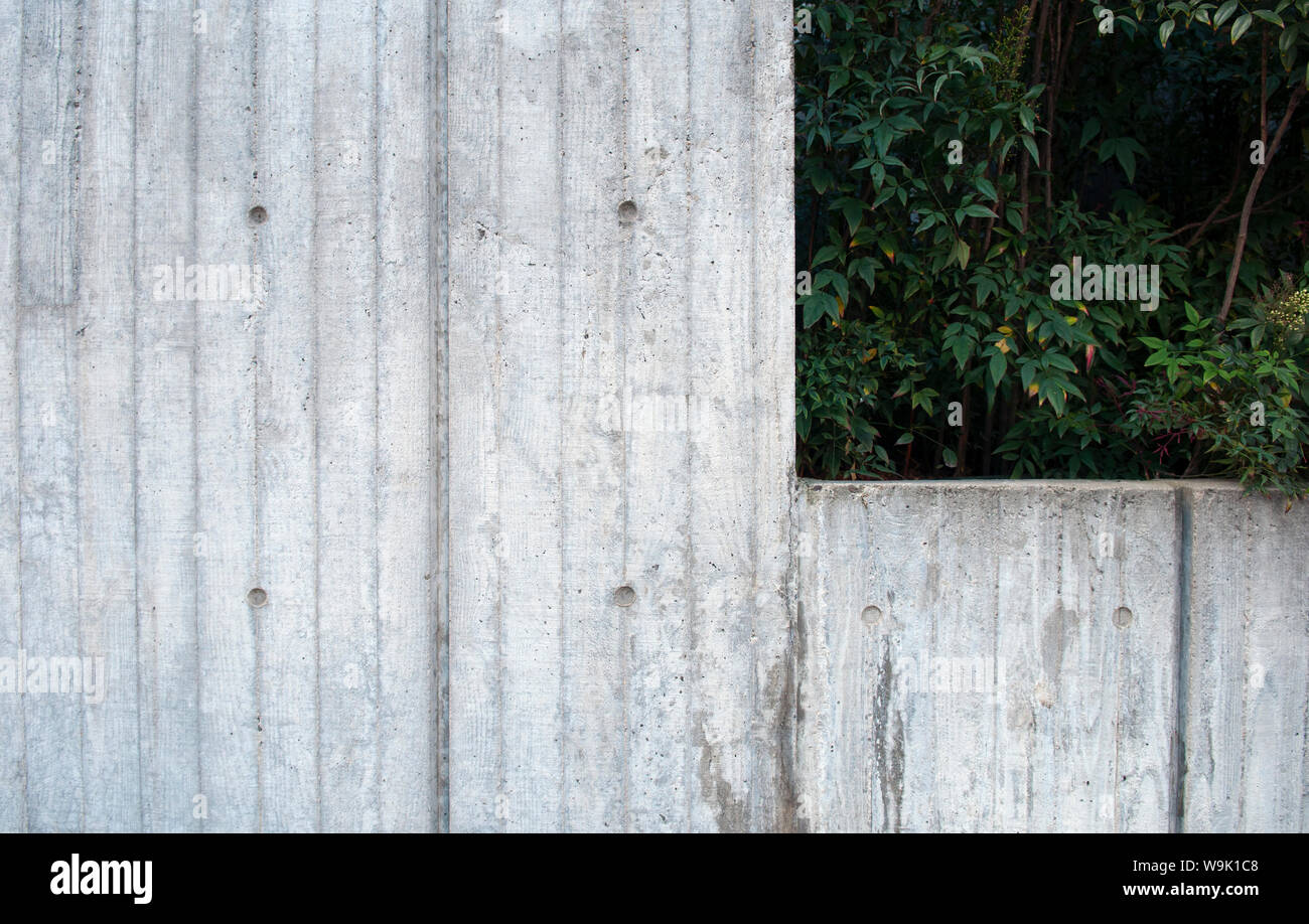 Un Brutalist Parete in cemento con piante fa capolino da dietro Foto Stock