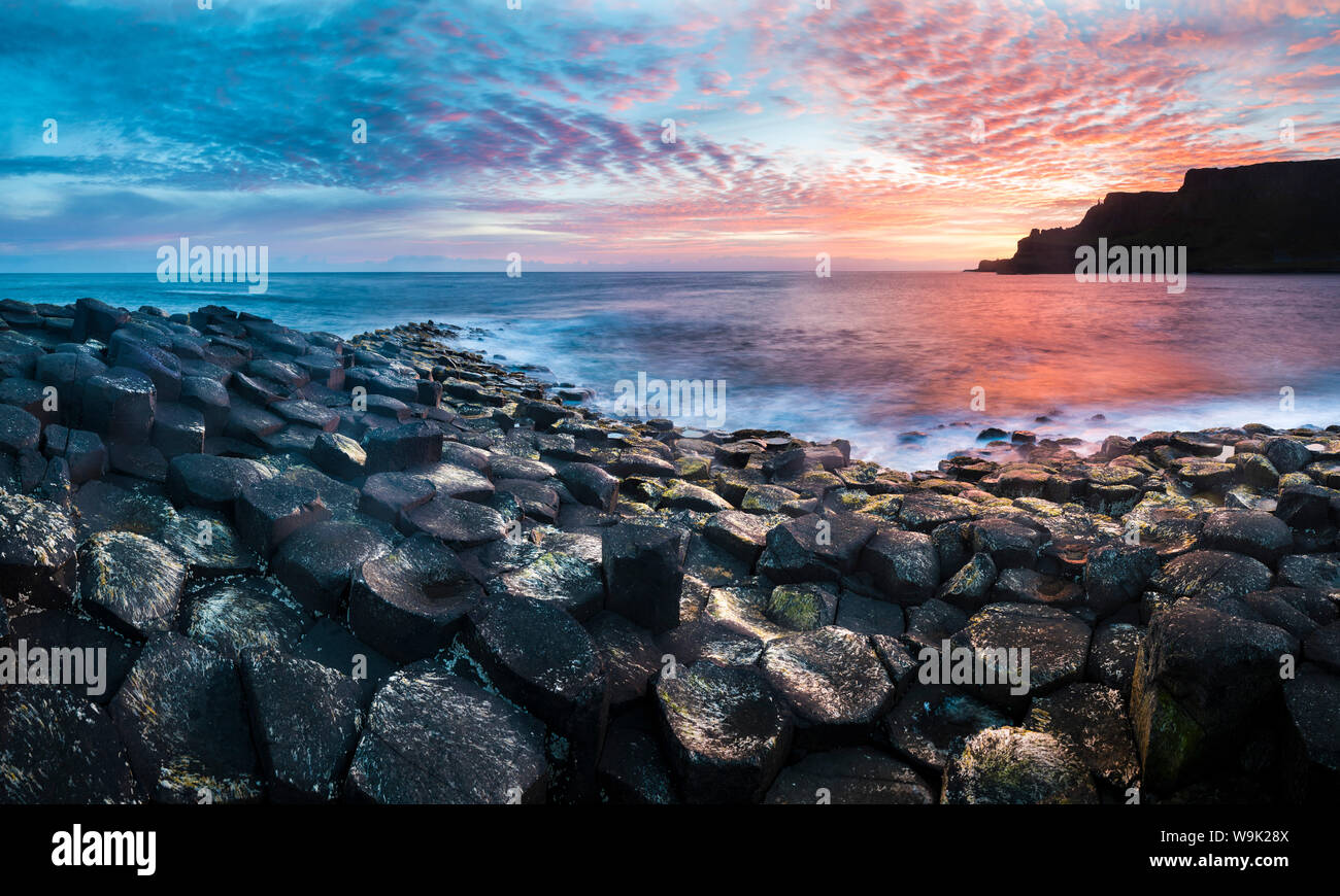 Giants Causeway, Sito Patrimonio Mondiale dell'UNESCO, nella contea di Antrim, Ulster (Irlanda del Nord, Regno Unito, Europa Foto Stock