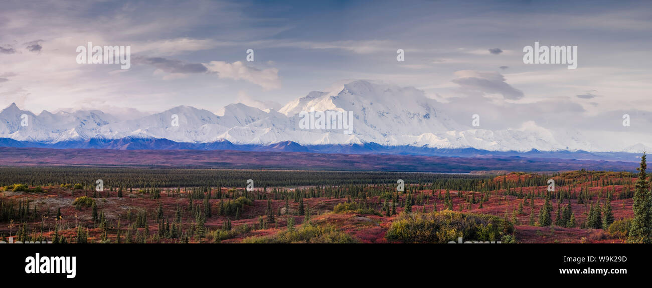 Paesaggio panoramico del Denali (Monte McKinley), il Parco Nazionale di Denali, Alaska, Stati Uniti d'America, America del Nord Foto Stock