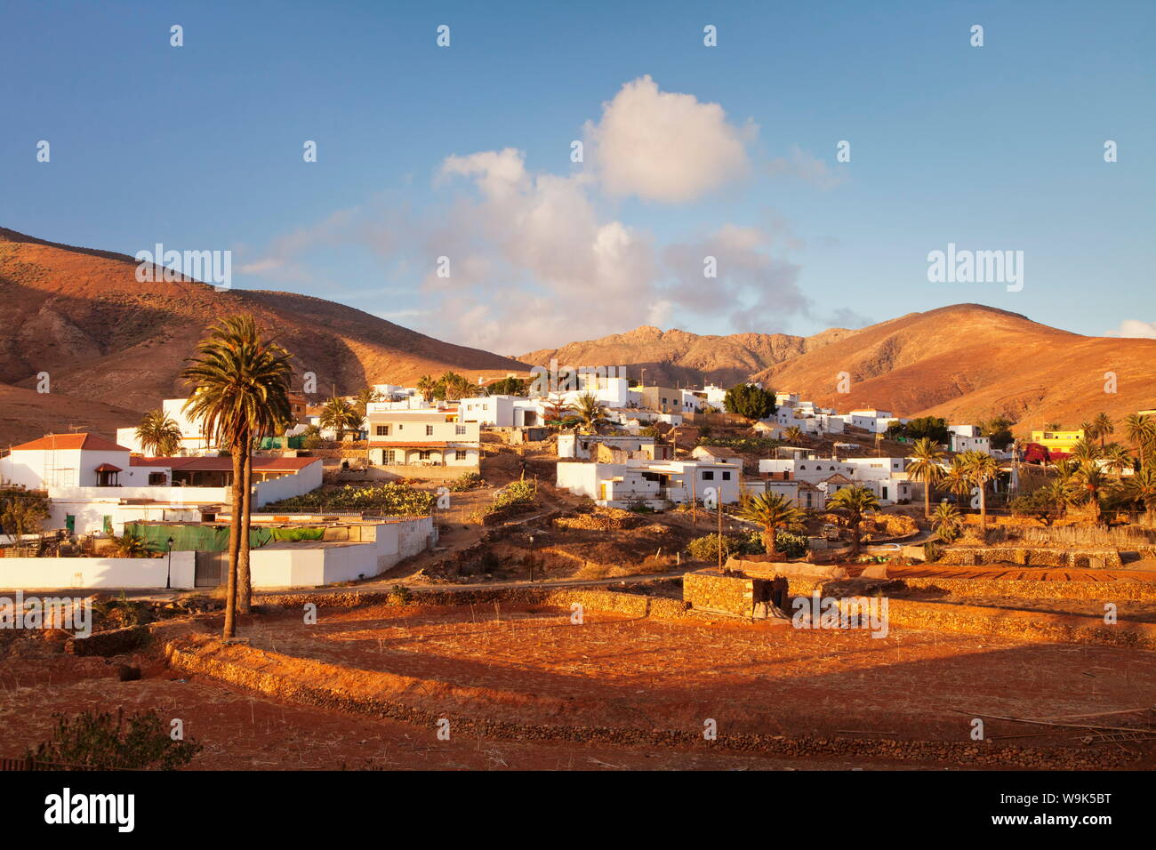 Alberi di palma e il villaggio bianco di Toto al tramonto, Fuerteventura, Isole Canarie, Spagna, Europa Foto Stock