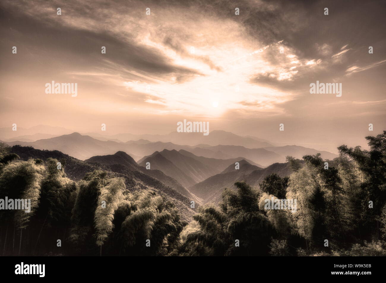 Misty Mountains con bosco di bambù in una zona appartata di Zhejiang, Cina, Asia Foto Stock