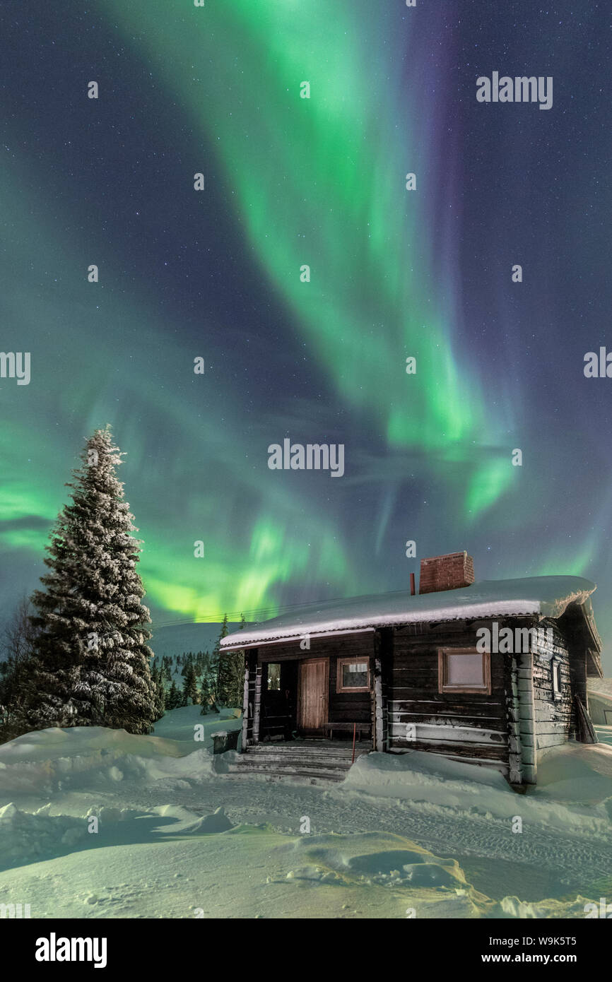 Le luci del nord (Aurora boreale) frame la capanna in legno nei boschi innevati, Pallas, Yllastunturi National Park, regione della Lapponia, Finlandia, Europa Foto Stock
