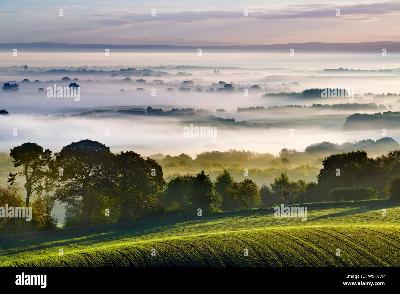 I campi di laminazione si estendono da Eddisbury Hill all'alba paesaggio con nebbia autunnale giacente su la pianura del Cheshire, Cheshire, Inghilterra, Regno Unito Foto Stock