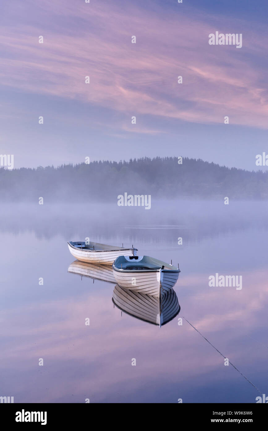 Misty lo spuntar del giorno sul Loch Rusky in maggio, Aberfoyle, Il Trossachs, Scotland, Regno Unito, Europa Foto Stock