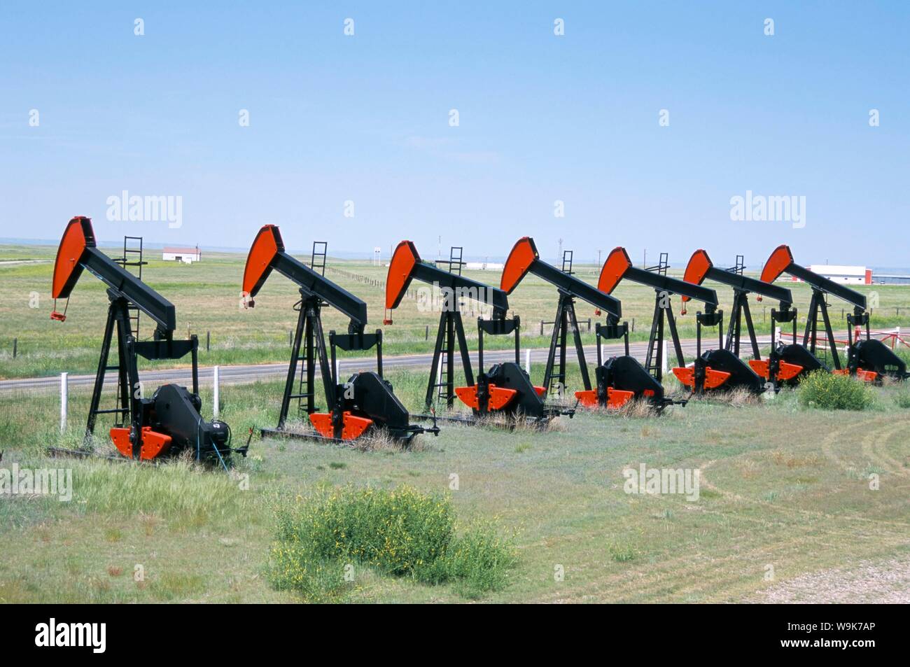 Pompe olio (annuendo asini) per la vendita in oilfield mercanti di alimentazione, Shelby, Montana, Stati Uniti d'America, America del Nord Foto Stock