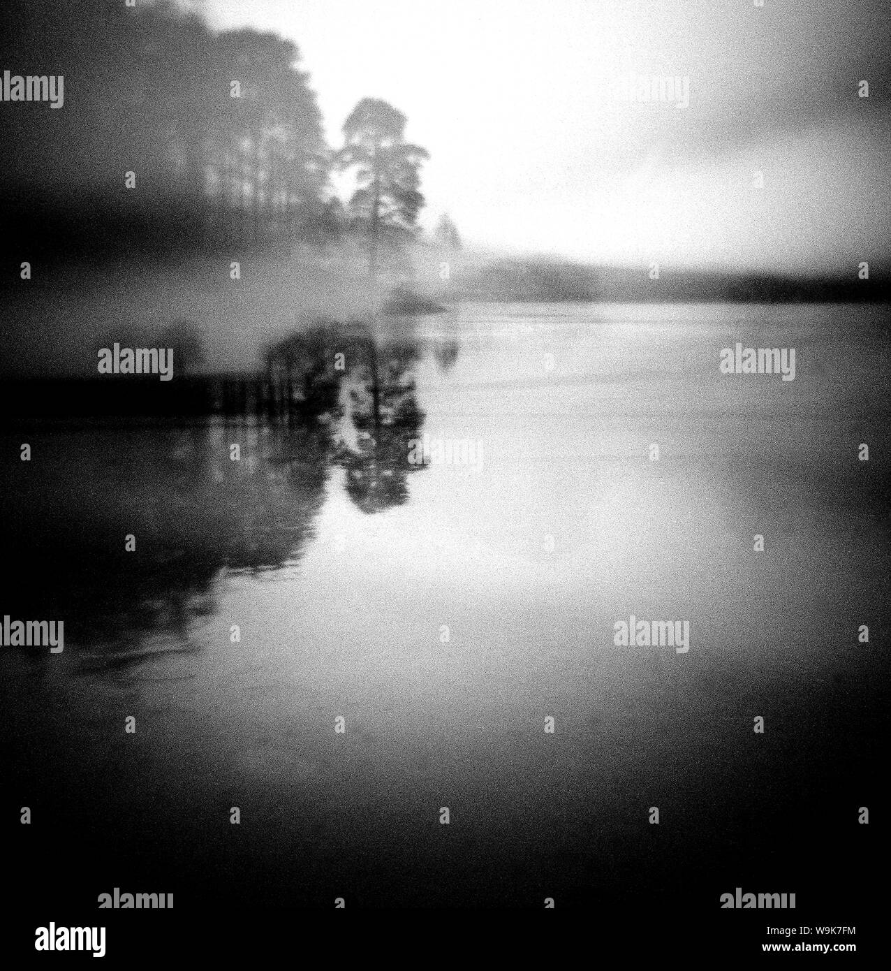 Immagine scattata con una Holga medio formato 120 film fotocamera giocattolo di Vista nebbiosa di Blea Tarn all'alba, Lake District, Cumbria, England, Regno Unito, Europa Foto Stock Immagine scattata con una Holga medio formato 120 film fotocamera giocattolo di Vista nebbiosa di Blea Tarn all'alba, Lake District, Cumbria, England, Regno Unito, Europa Foto Stock