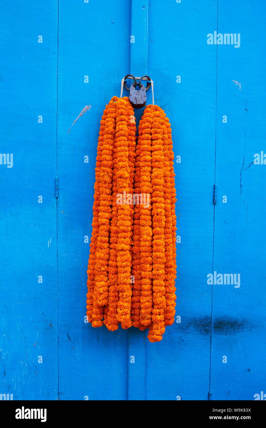 Sportello, lucchetto e ghirlande di fiori, Kolkata (Calcutta), West Bengal, India, Asia Foto Stock