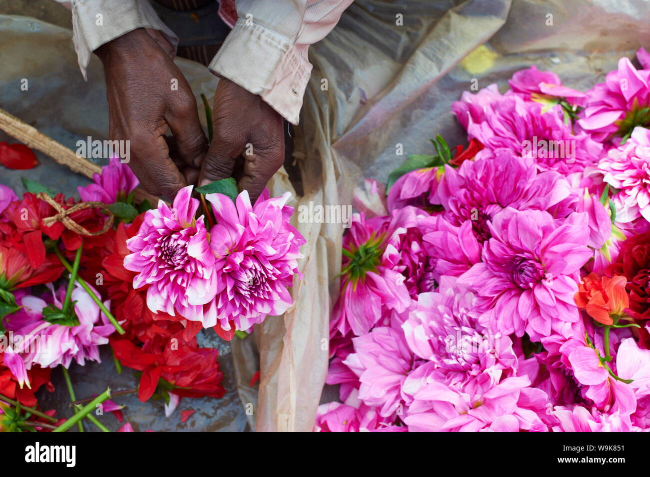 Mullik Ghat flower market, Kolkata (Calcutta), West Bengal, India, Asia Foto Stock
