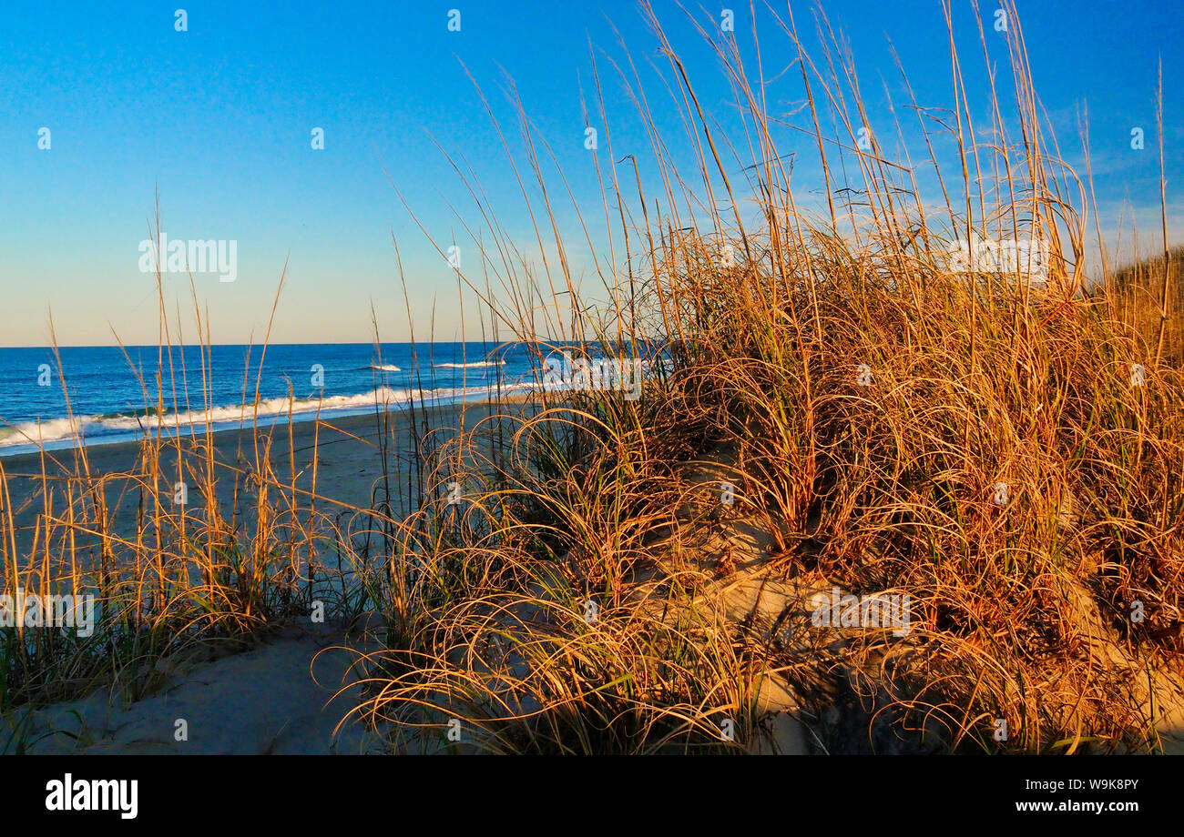Tramonto, Coquina Beach, Bodie Island, Cape Hatteras National Seashore, Whalebone, North Carolina, STATI UNITI D'AMERICA Foto Stock