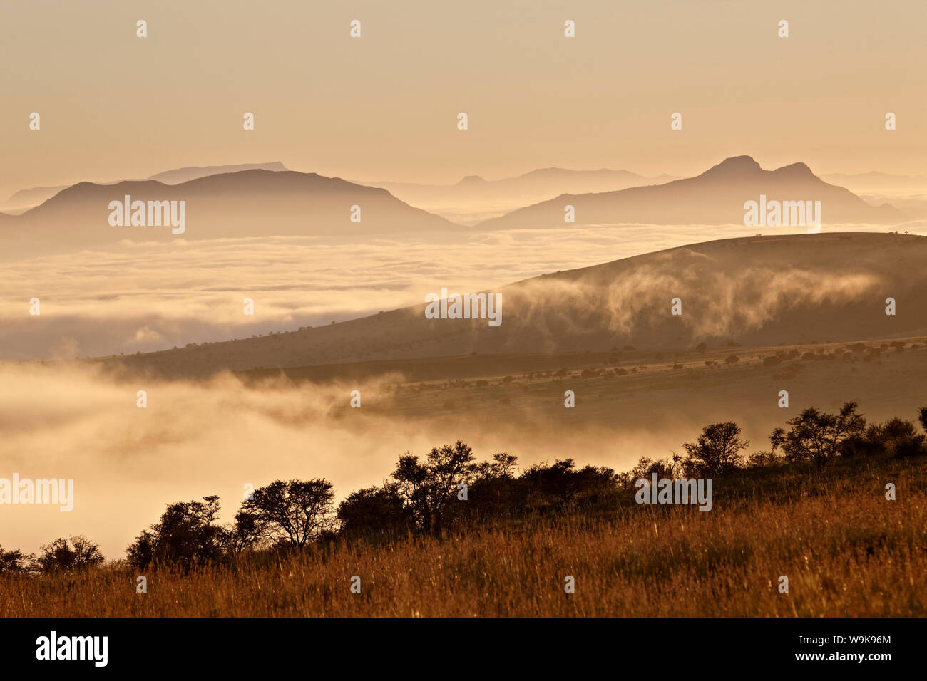 Lo strato di cloud all'alba, Mountain Zebra National Park, Sud Africa e Africa Foto Stock