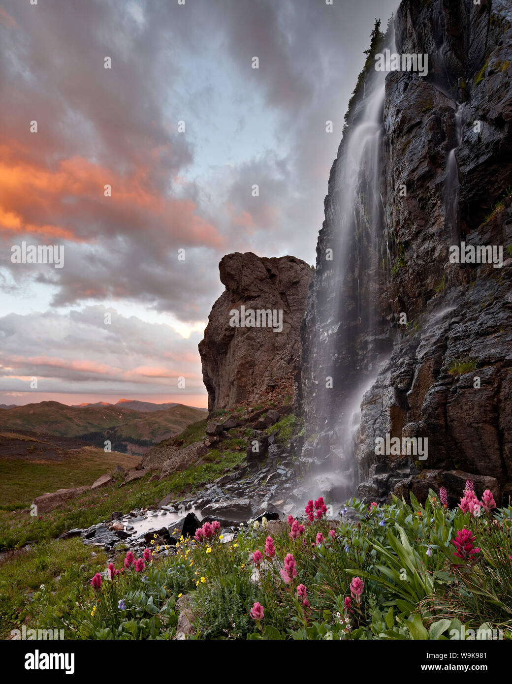 Cascata alpina con fiori selvaggi al tramonto, San Juan National Forest, Colorado, Stati Uniti d'America, America del Nord Foto Stock