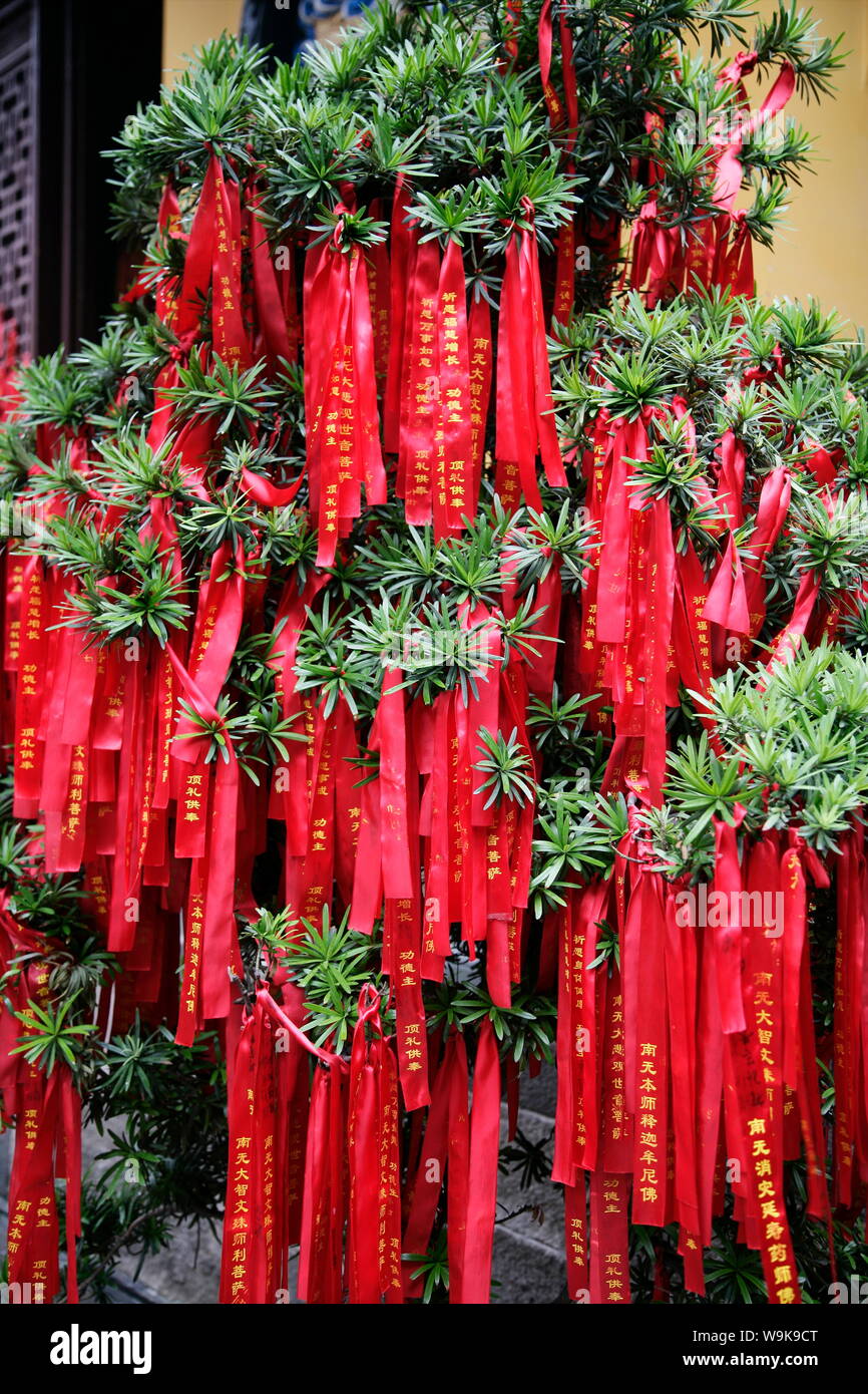 Il Tempio del Buddha di Giada, Shanghai, Cina e Asia Foto Stock