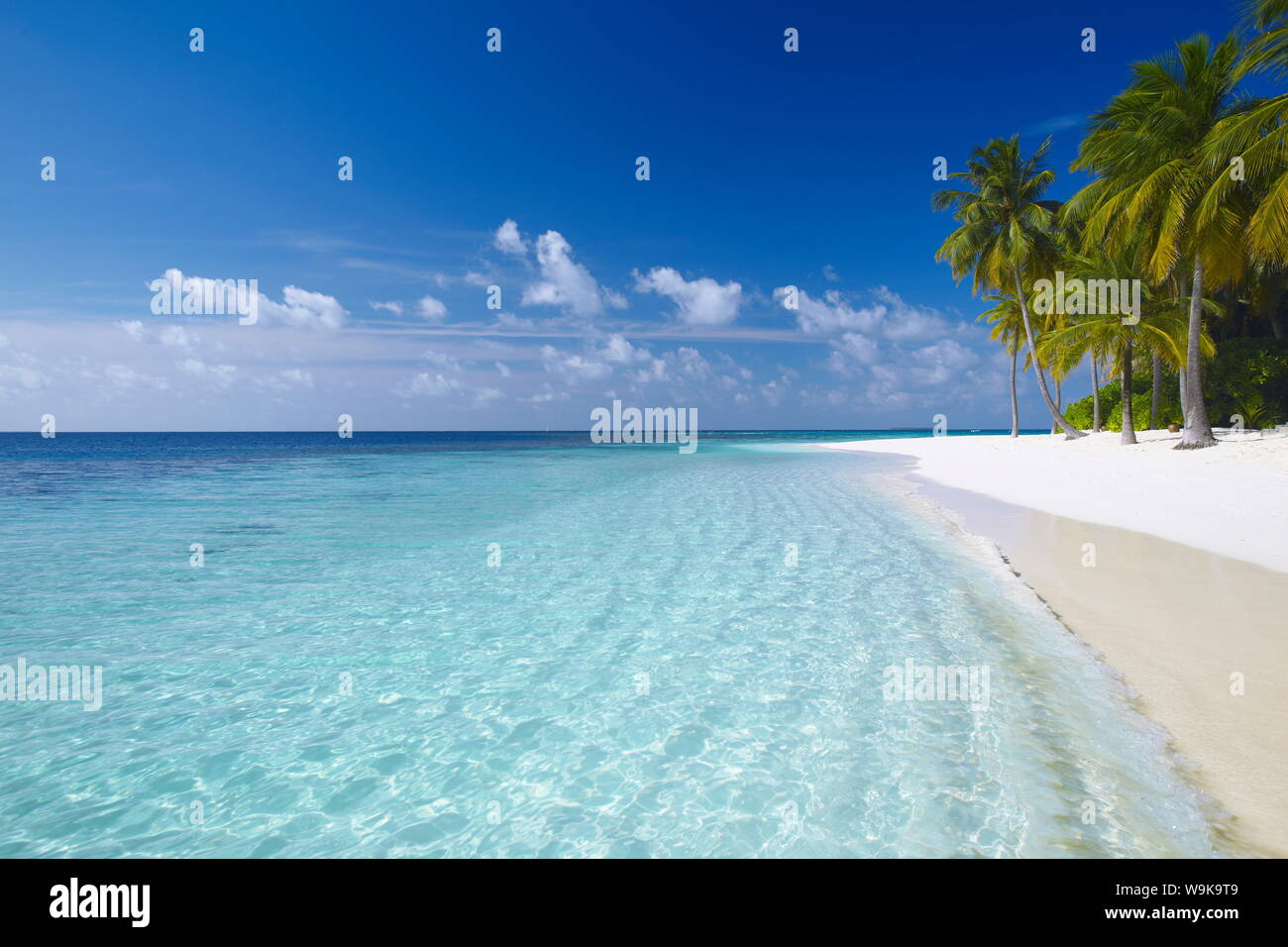 Isola tropicale e la spiaggia, Maldive, Oceano Indiano, Asia Foto Stock