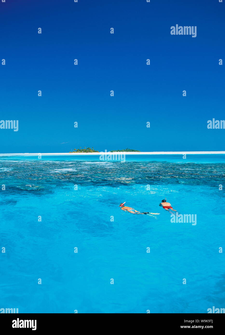 Giovane snorkeling nelle Maldive, Oceano Indiano, Asia Foto Stock