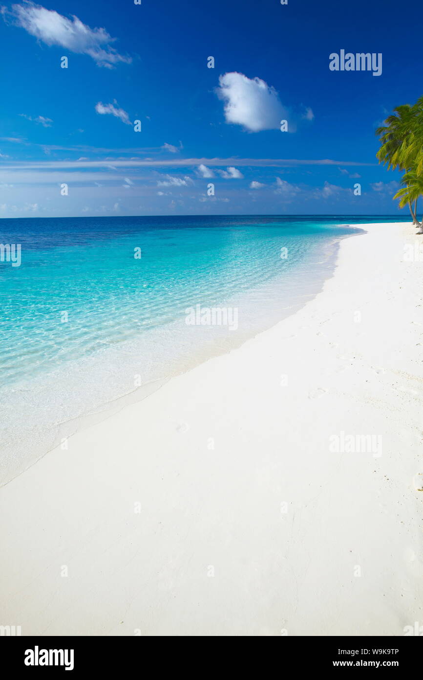 Isola tropicale e la laguna, atollo di Ari, Maldive, Oceano Indiano, Asia Foto Stock