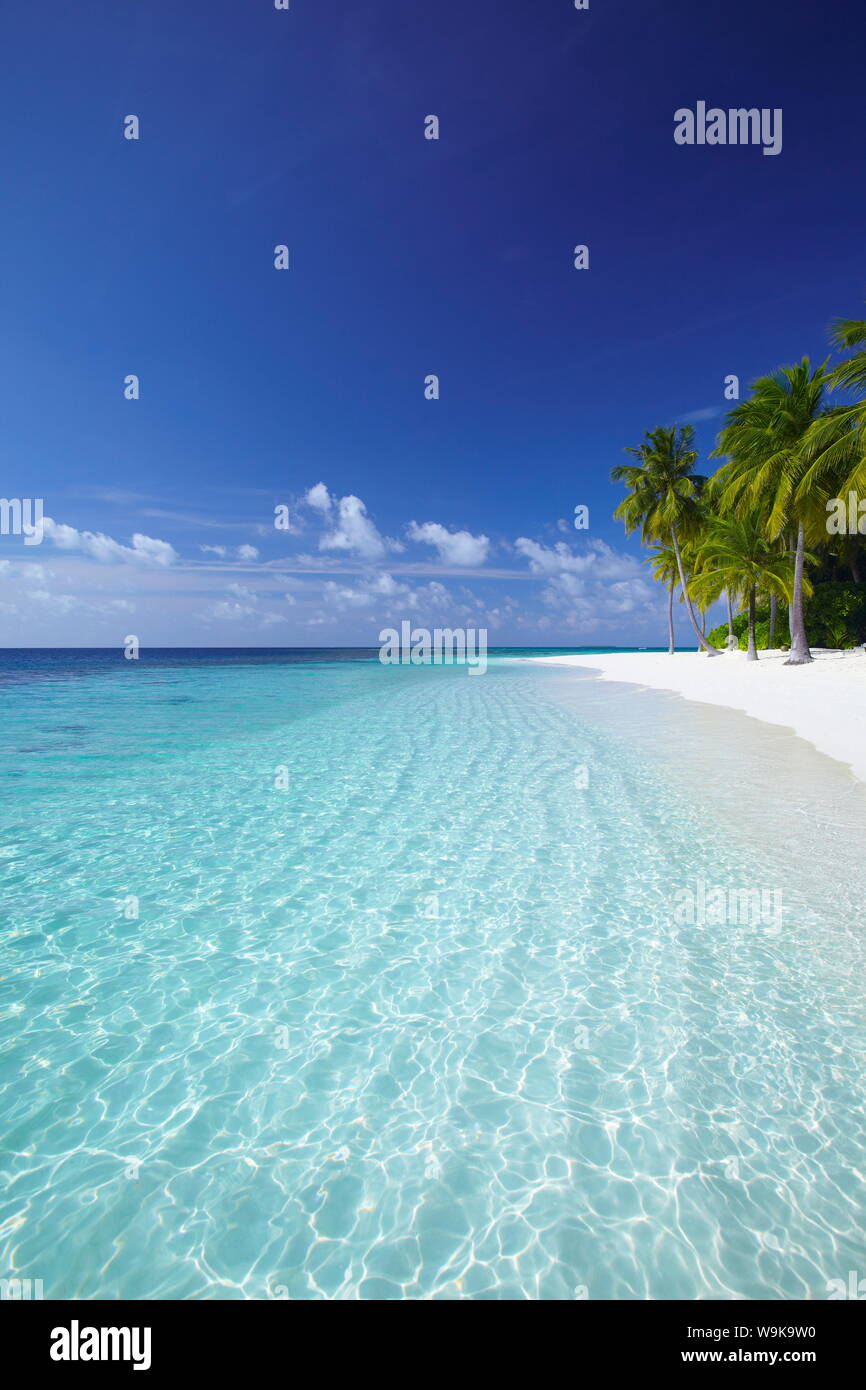 Isola tropicale e la laguna, atollo di Ari, Maldive, Oceano Indiano, Asia Foto Stock