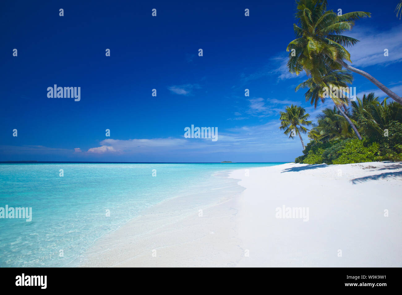 Spiaggia tropicale e la laguna, Maldive, Oceano Indiano, Asia Foto Stock
