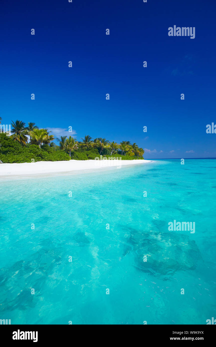 Spiaggia tropicale e la laguna, Maldive, Oceano Indiano, Asia Foto Stock