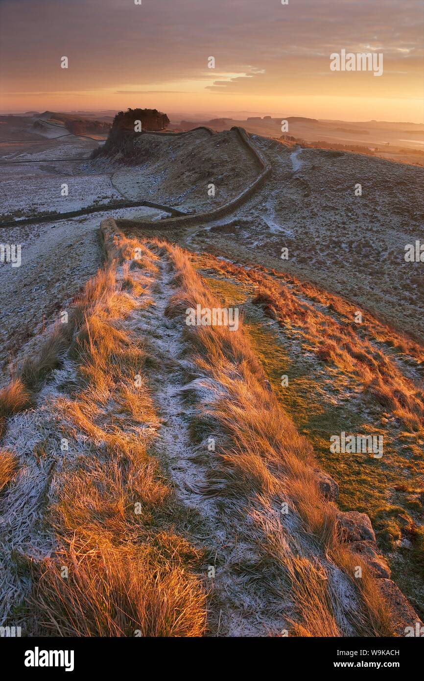 Alba sul vallo di Adriano National Trail in inverno, cercando di Housesteads Fort, il vallo di Adriano, UNESCO, Northumberland, England, Regno Unito Foto Stock