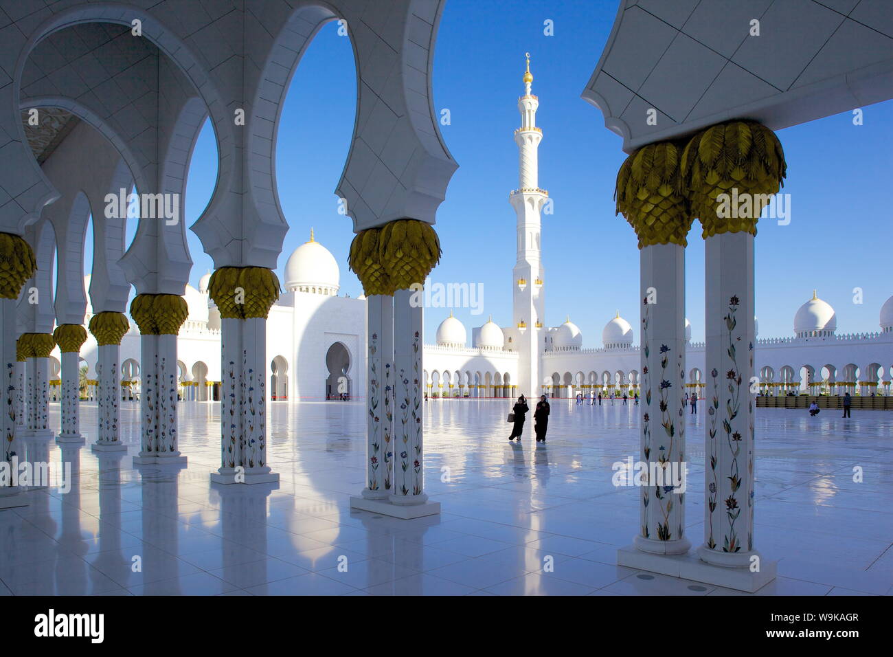 Sheikh Zayed Bin Sultan Al Nahyan moschea, Abu Dhabi, Emirati Arabi Uniti, Medio Oriente Foto Stock