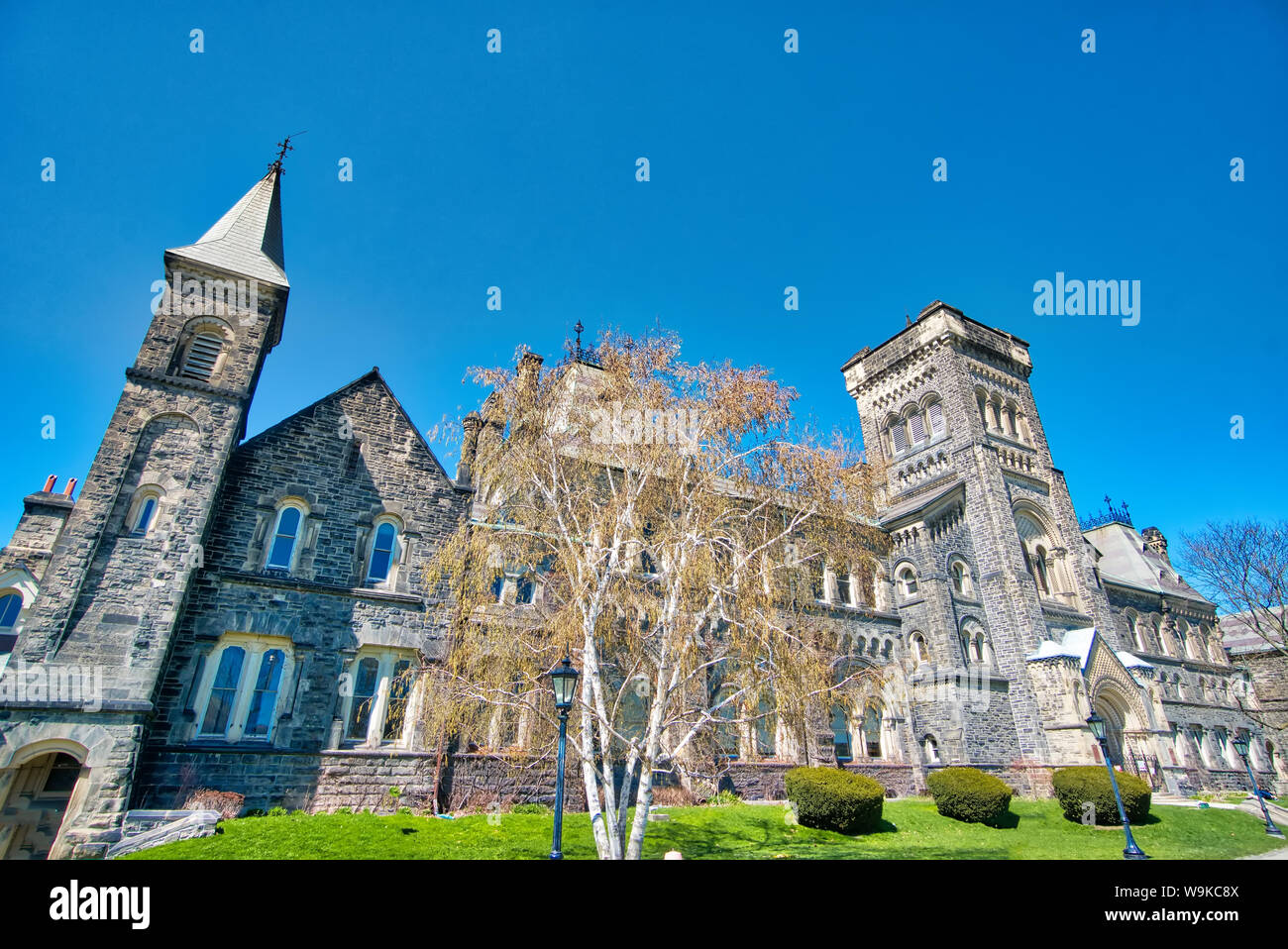 Vecchio Toronto Campus Universitario e di edifici situati nel centro città zona Foto Stock