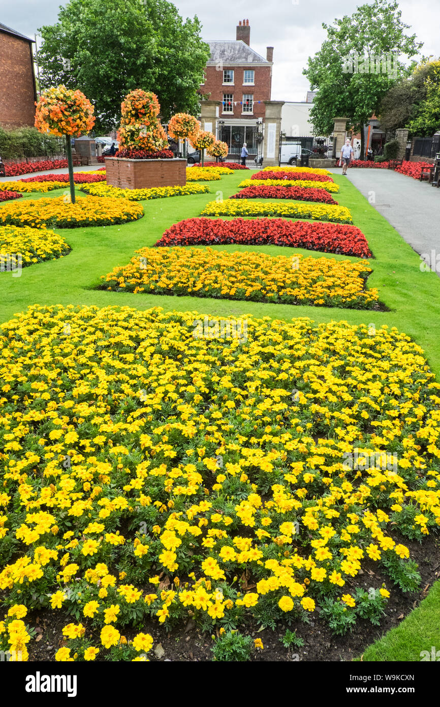 Colorata,colorata,floral,display,piante,fiori,a,Cae Glas Park,Oswestry,a,mercati,città,a,Shropshire,confine,di, Galles,l'Inghilterra,GB,UK, Foto Stock