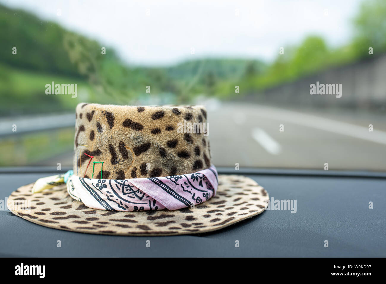 Leopard hat uomo con bandana sul cruscotto di un'auto sulla strada Foto Stock