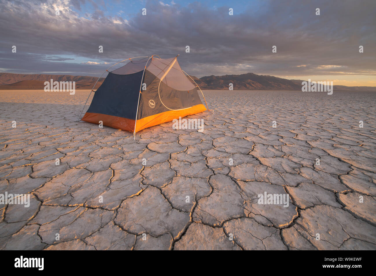 Mattina camp sul deserto Alvord Playa, Oregon Foto Stock