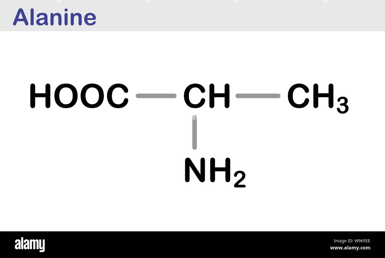 Scheletro di alanina di formula Illustrazione Vettoriale