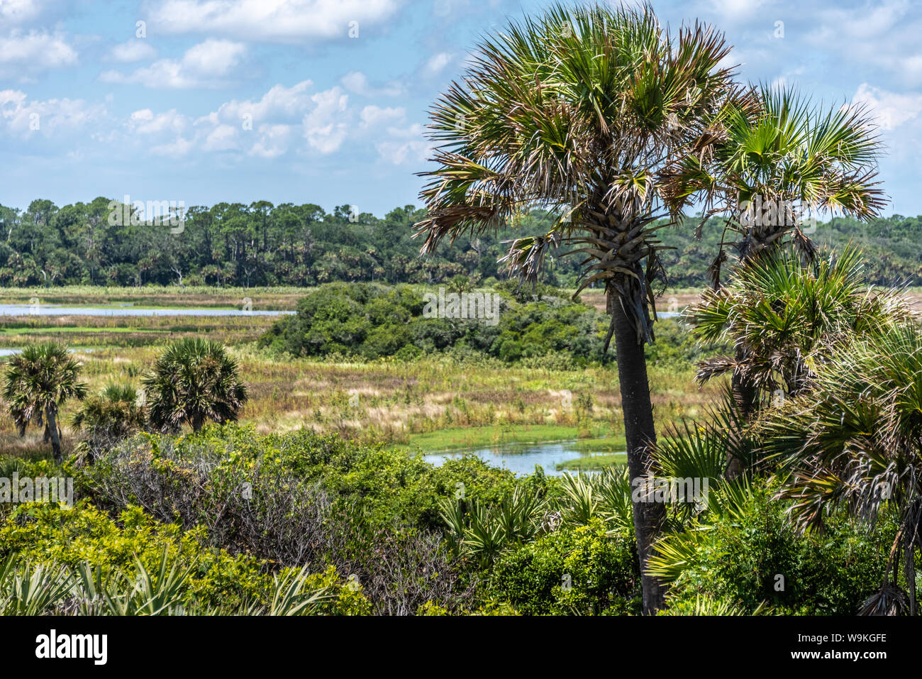 Fiume Guana preservare lungo la Florida A1A nel Ponte Vedra Beach, Florida, Stati Uniti d'America. Foto Stock