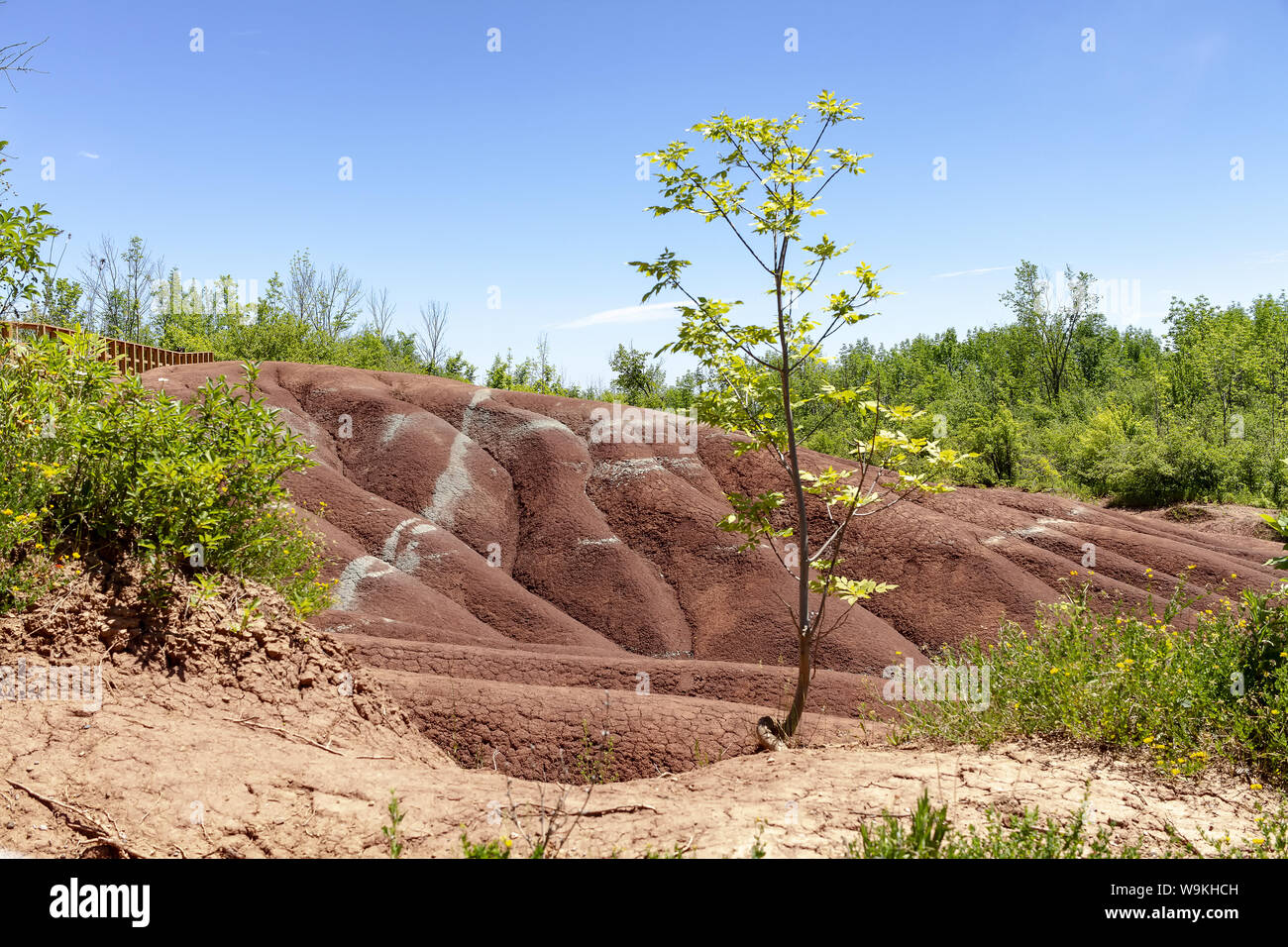 The Cheltenham Badlands a Caledon in estate, Ontario, Canada. "Badlands" è un termine geologico per una zona di soft rock prive di vegetazione e suolo co Foto Stock