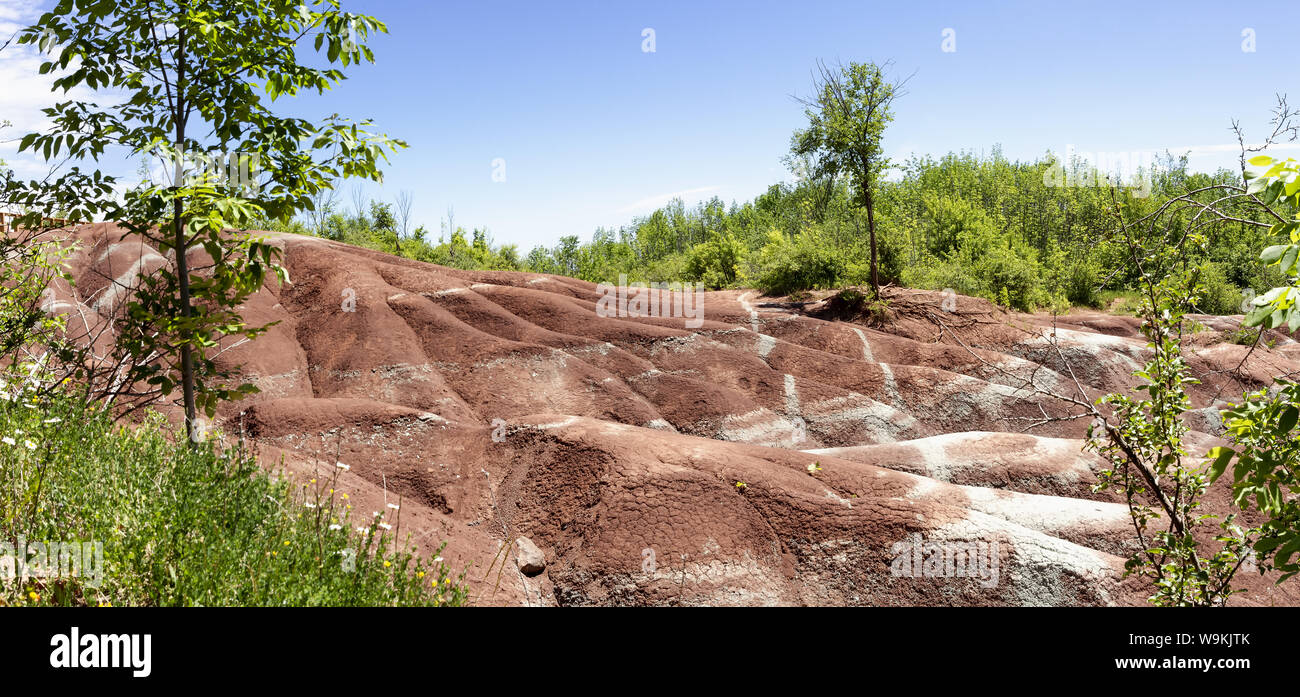 The Cheltenham Badlands a Caledon in estate, Ontario, Canada. "Badlands" è un termine geologico per una zona di soft rock prive di vegetazione e suolo co Foto Stock