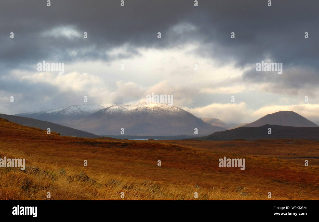 Moody Irish paesaggio da Connemara, maltempo giorno con montagne coperte di neve e nuvole scure sullo sfondo e colorata erba dorata Foto Stock