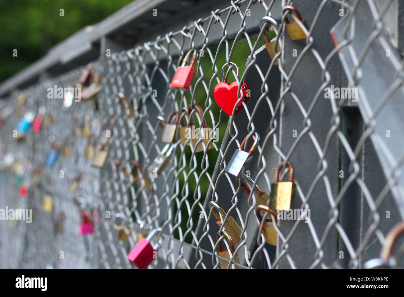 Amore lucchetti attaccati ad un ponte in acciaio, anche un lucchetto a forma di cuore Foto Stock
