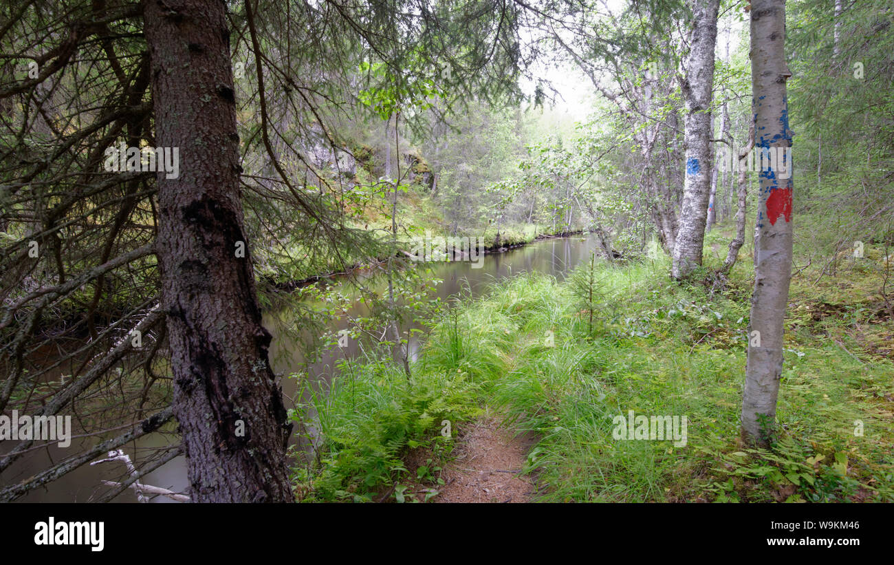 Heinijoki fiume vicino a cascata Hepoköngäs, Puolanka, Finlandia Foto Stock