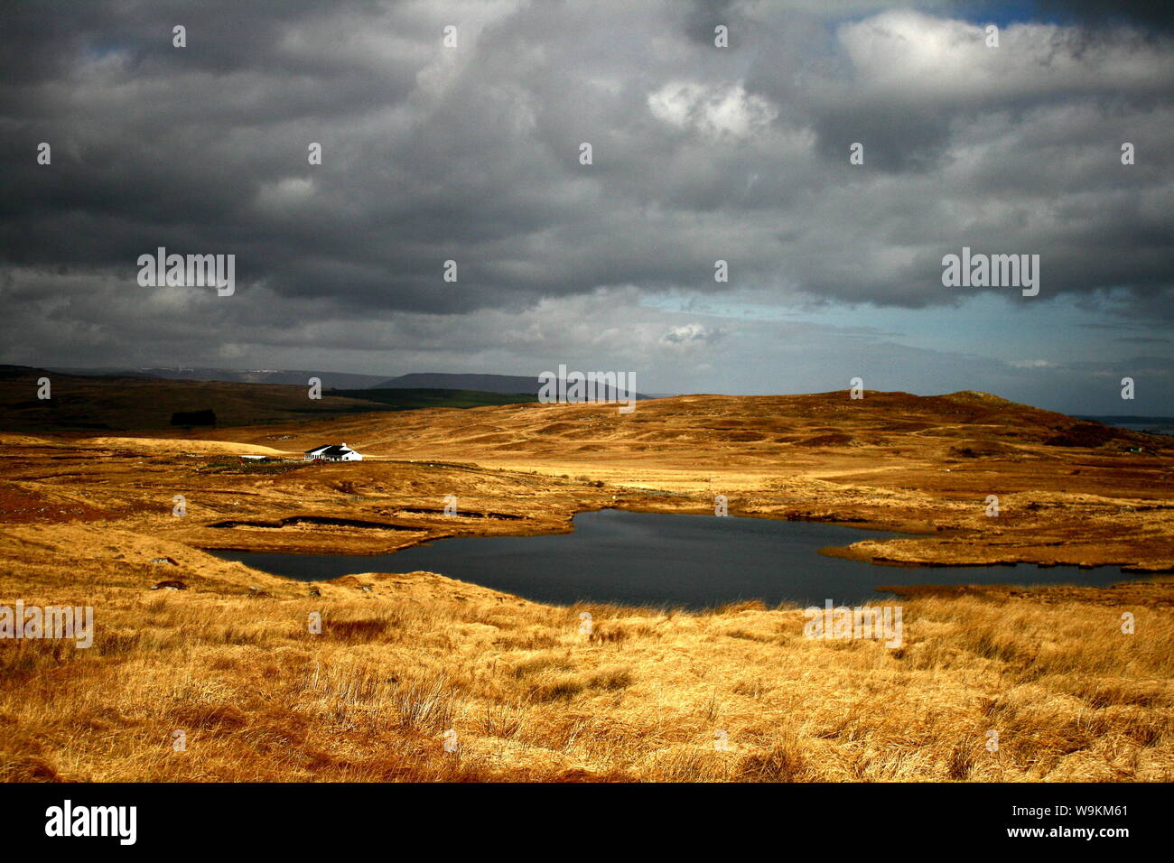Oscuro e umoristico paesaggio irlandese da Connemara, solitaria casa bianca nel mezzo di erba dorata circondata da nuvole scure e alte montagne Foto Stock