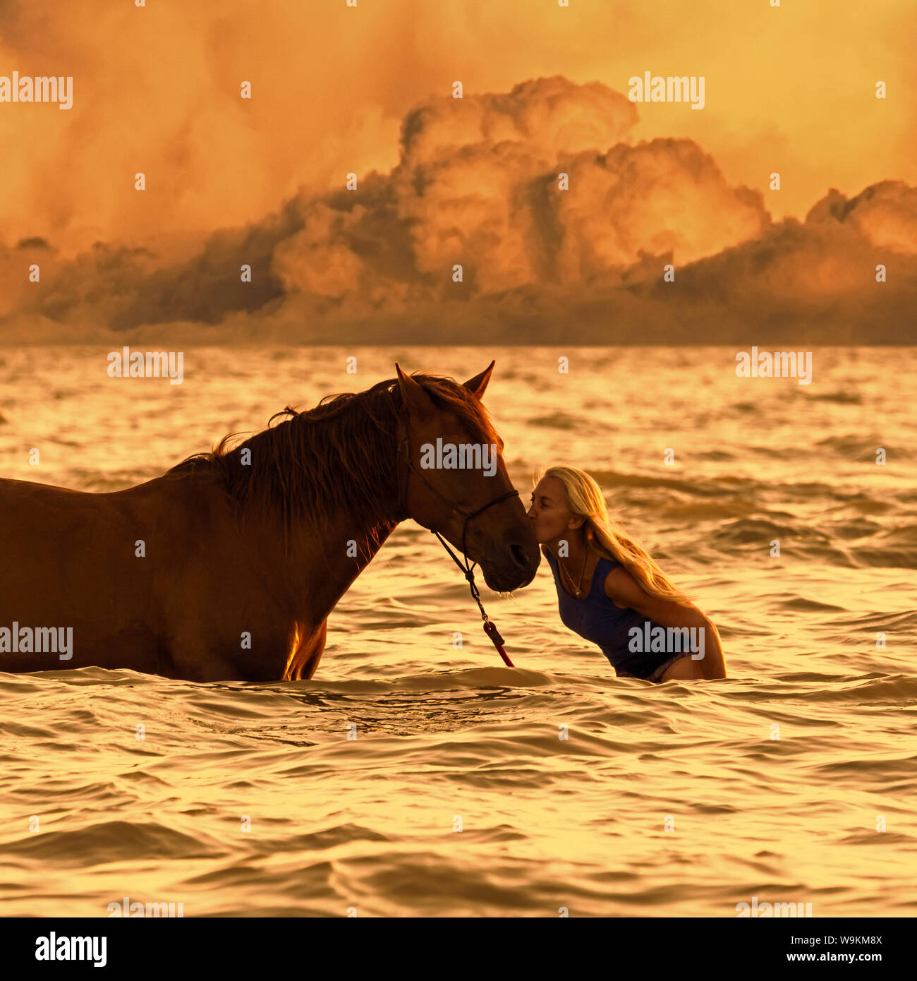 Cavallerizza / femmina cavallo Cavaliere kissing cavalli sul naso durante il bagno / sguazzare in acque poco profonde in estate lungo la costa del Mare del Nord Foto Stock