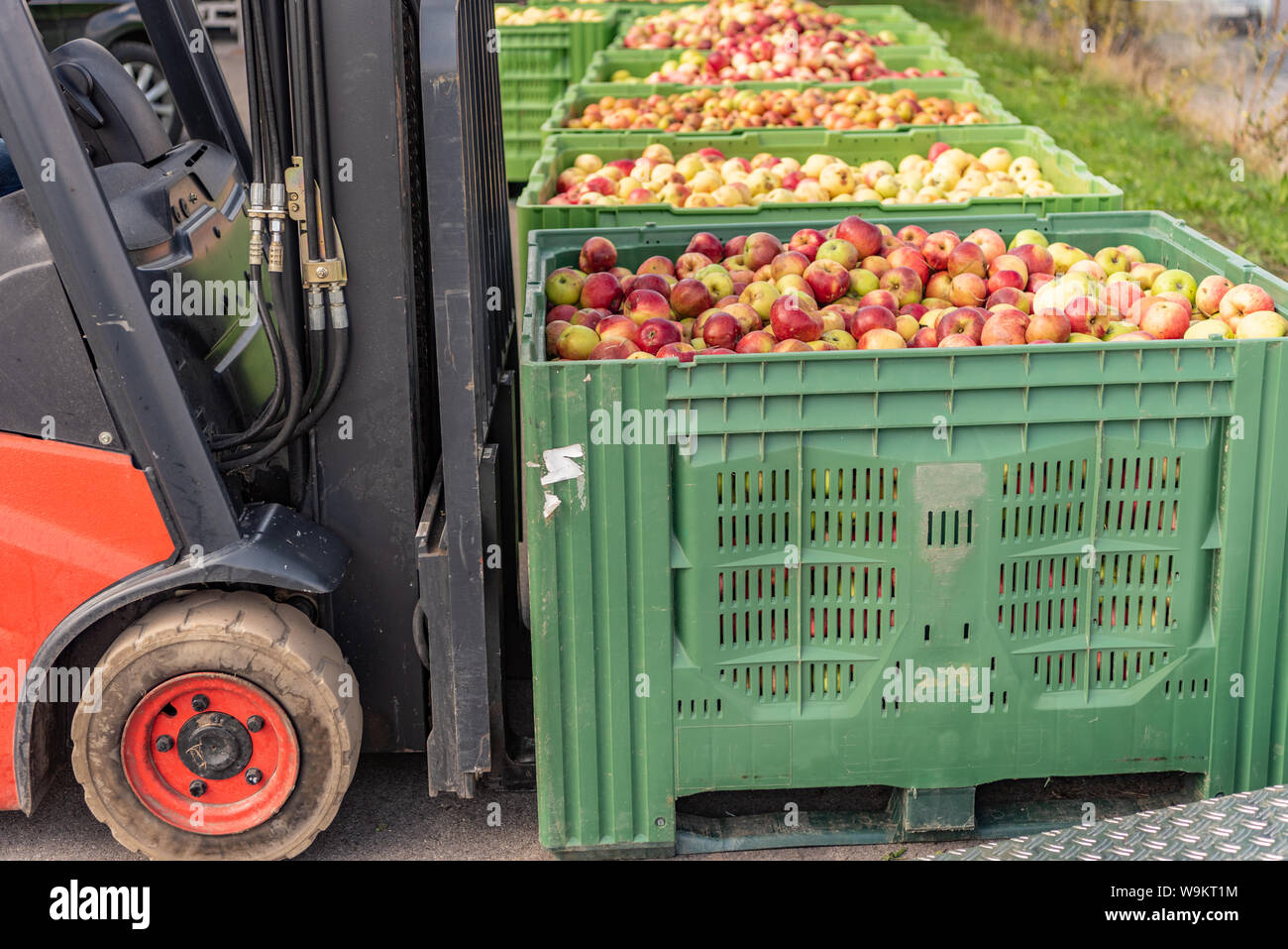 Carrello porta cassette della frutta. Le mele nel contenitore Foto stock -  Alamy