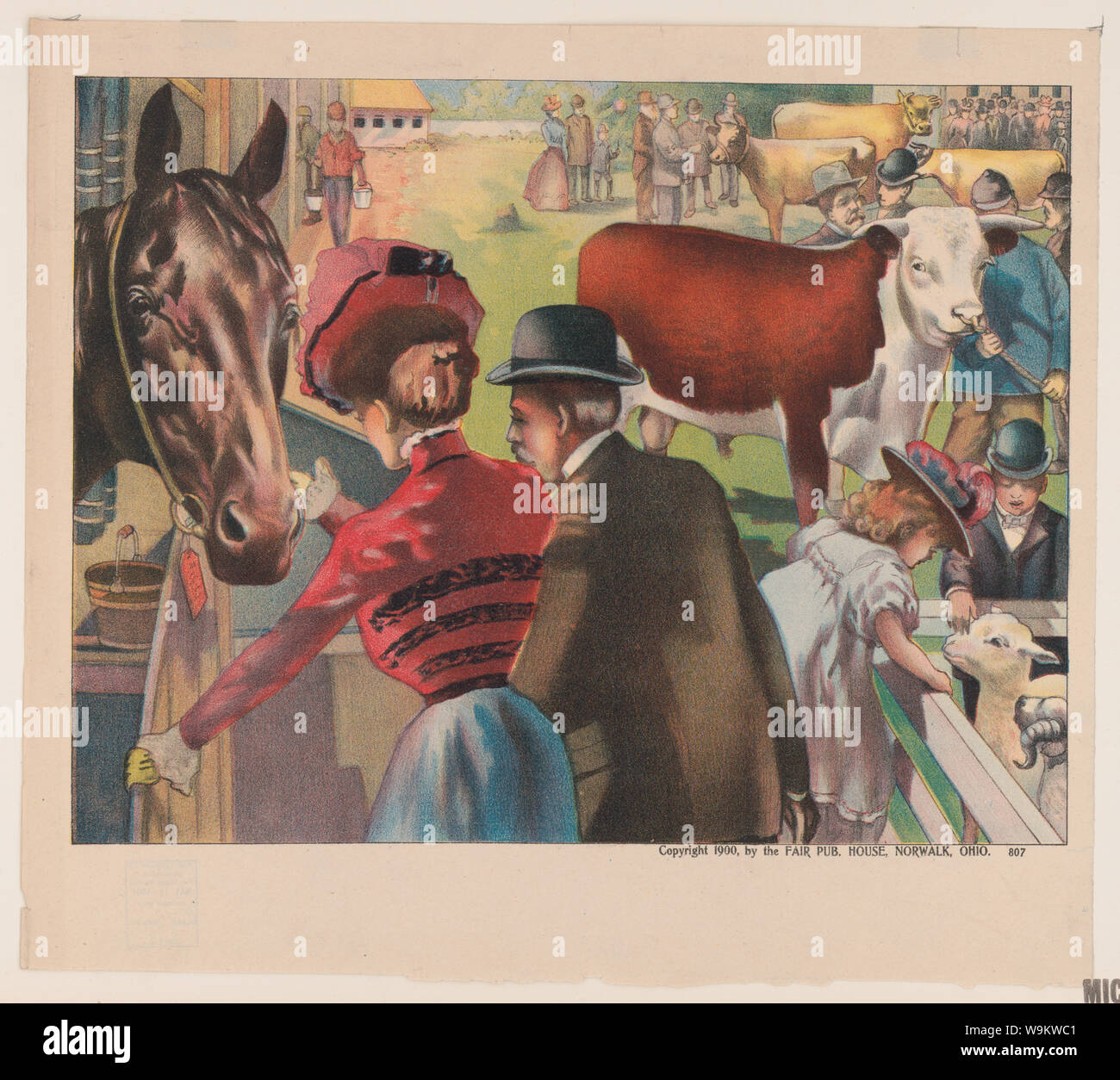 Fiera degli animali Foto Stock