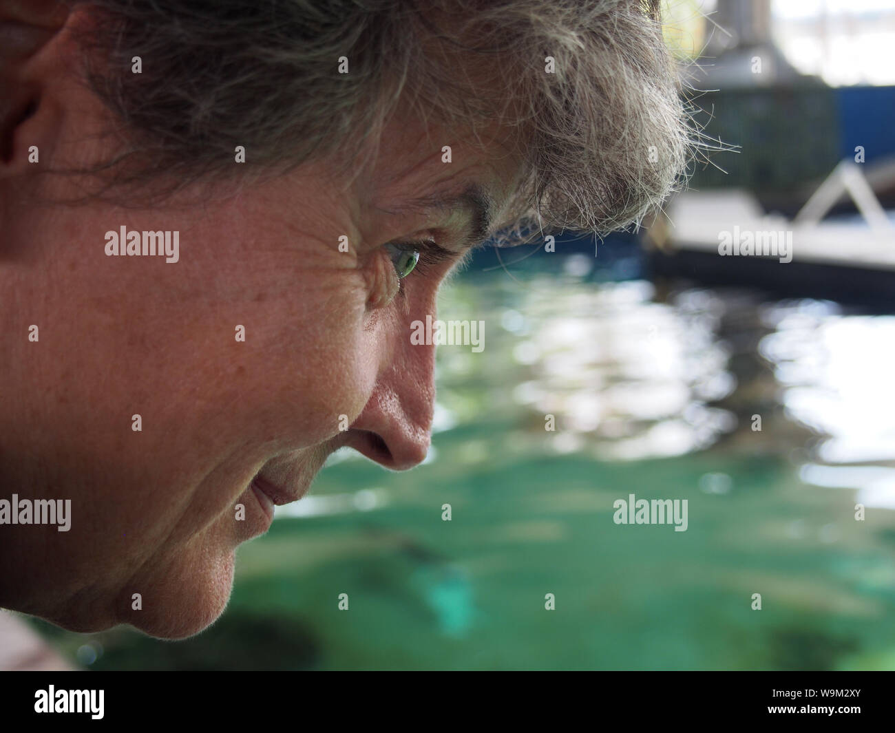 La donna osserva shark serbatoio a mote Aquarium, Florida, USA, Aprile 6, 2019, © Katharine Andriotis Foto Stock