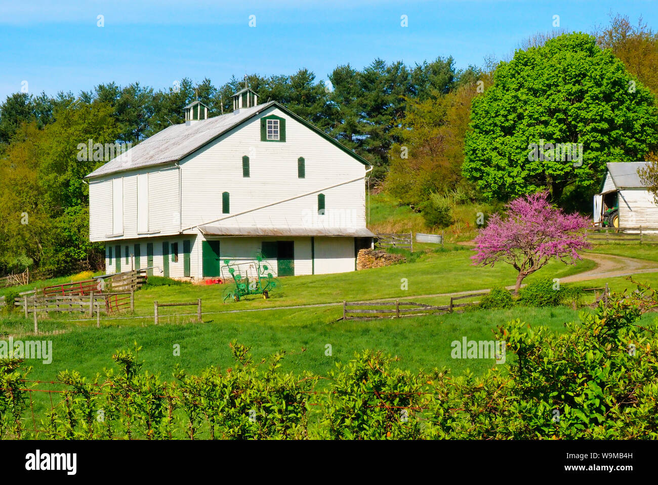 Agriturismo vicino a Middlebrook nella valle di Shenandoah, Virginia, Stati Uniti d'America Foto Stock
