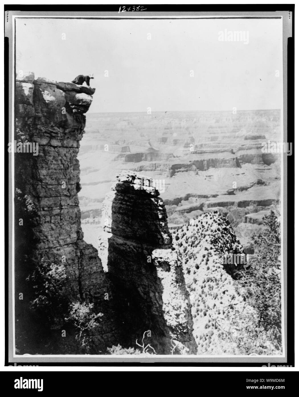 In Arizona, Grand View Point, 5.000 m. sopra il fiume Foto Stock