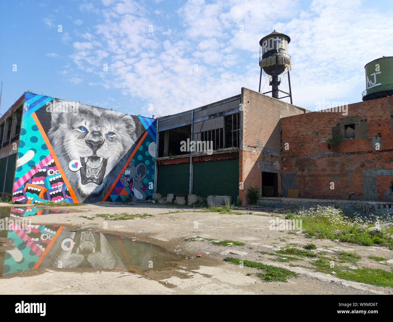 La street art di Detroit Foto Stock