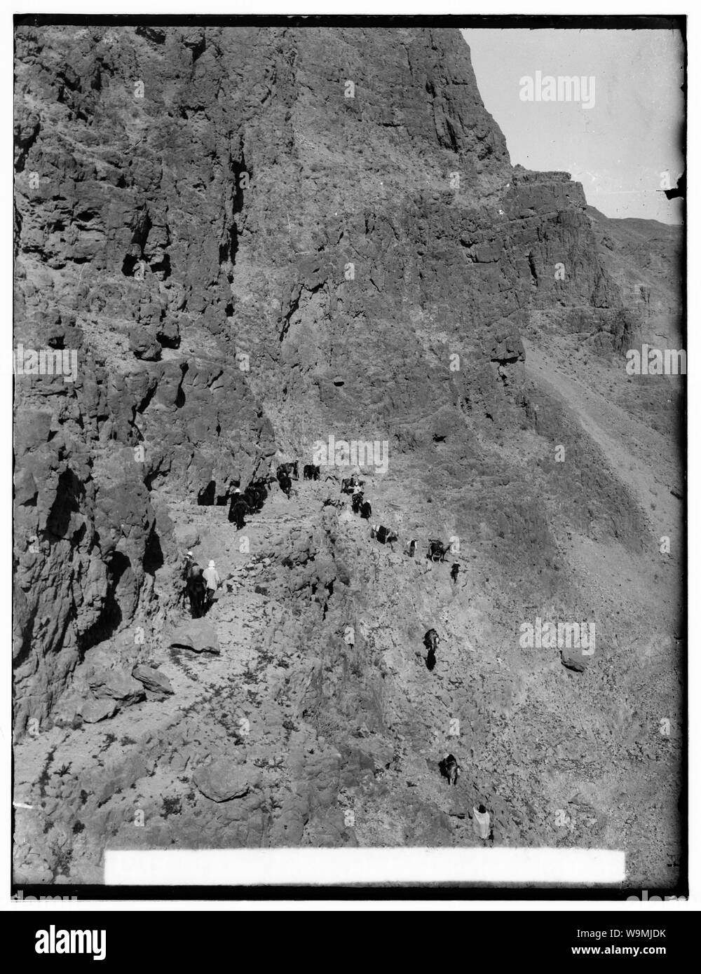 Intorno al Mar Morto. 'Ain Jiddy mostrando pass robusto Foto Stock