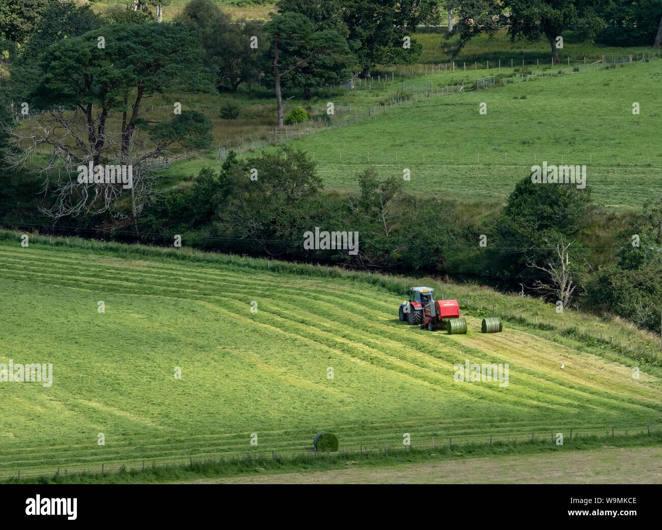 Un trattore la pressatura di insilato in una fattoria vicino a Dunadd, Kilmartin Glen, Argyll. Foto Stock